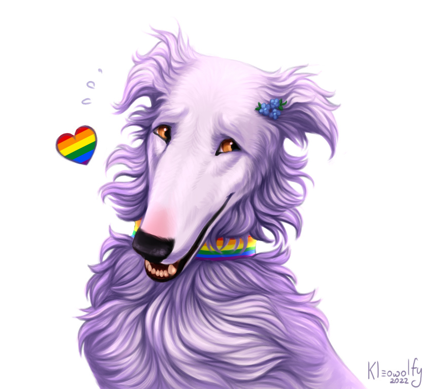 &lt;3 2022 absurd_res ambiguous_gender artist_name black_nose blush brown_eyes canid canine canis domestic_dog fangs feral fur headshot_portrait hi_res icon kleowolfy lgbt_history_month lgbt_pride mammal open_mouth portrait purple_body purple_fur rainbow_pride_collar rainbow_pride_colors simple_background snout solo teeth white_background