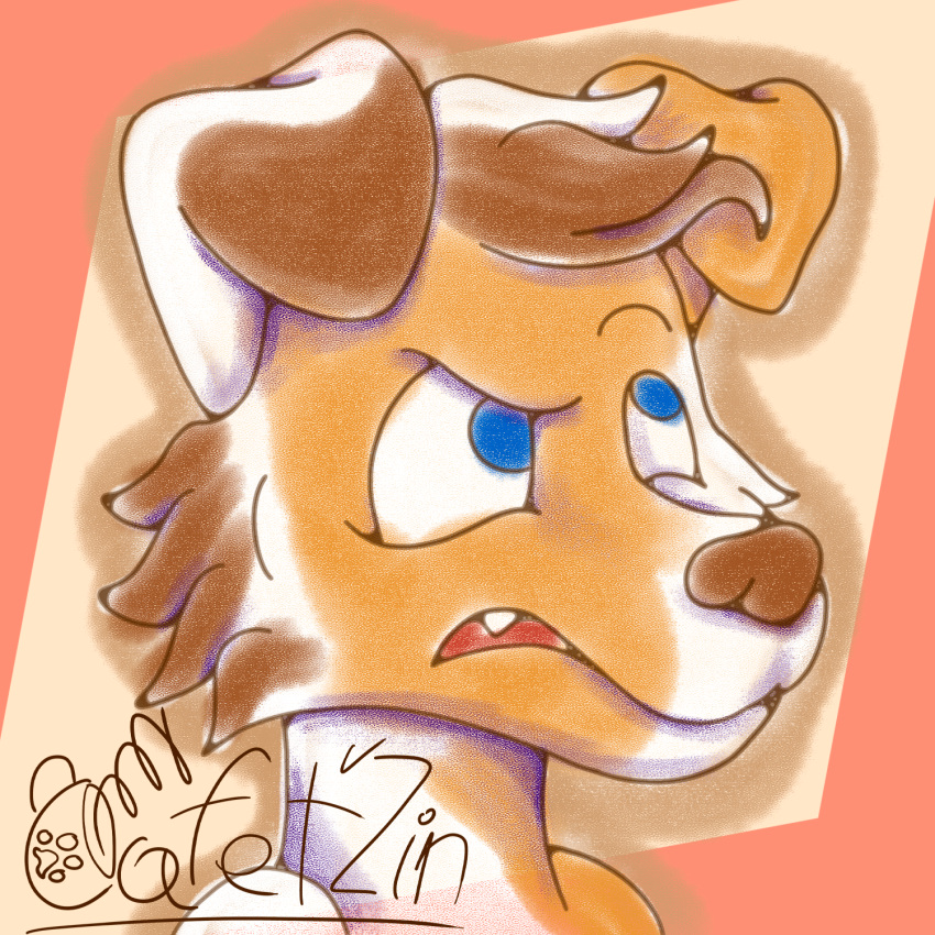 annoyed anthro blue_eyes brown_body brown_fur brown_nose cafet'zin_(artist) canid canine canis domestic_dog floppy_ears fluffy fur hair hi_res male mammal portrait shaded signature simple_background simple_shading solo tan_body tan_fur white_body white_fur