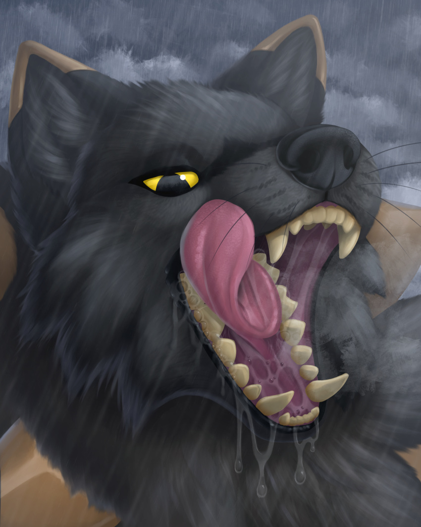 4:5 ambiguous_gender black_body black_ears black_fur black_nose bodily_fluids canid cheek_tuft dripping facial_tuft fangs fur hi_res licking licking_lips licking_own_lips mammal mouth_shot narrowed_eyes open_mouth pink_tongue raining saliva saliva_drip saliva_on_tongue saliva_string self_lick skyelegs solo tan_body tan_ears tan_fur tan_teeth tongue tongue_out tuft whiskers yellow_eyes