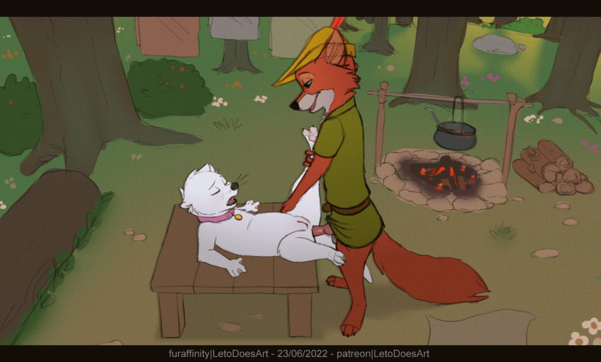 2022 2d_animation anal animated anthro canid canine clothing collar cooking_pot disney duo eyes_closed firewood fox genitals hat headgear headwear hi_res letodoesart lutrine male mammal mustelid pebble_(letodoesart) penis plant pussy robin_hood robin_hood_(disney) shrub towel tree