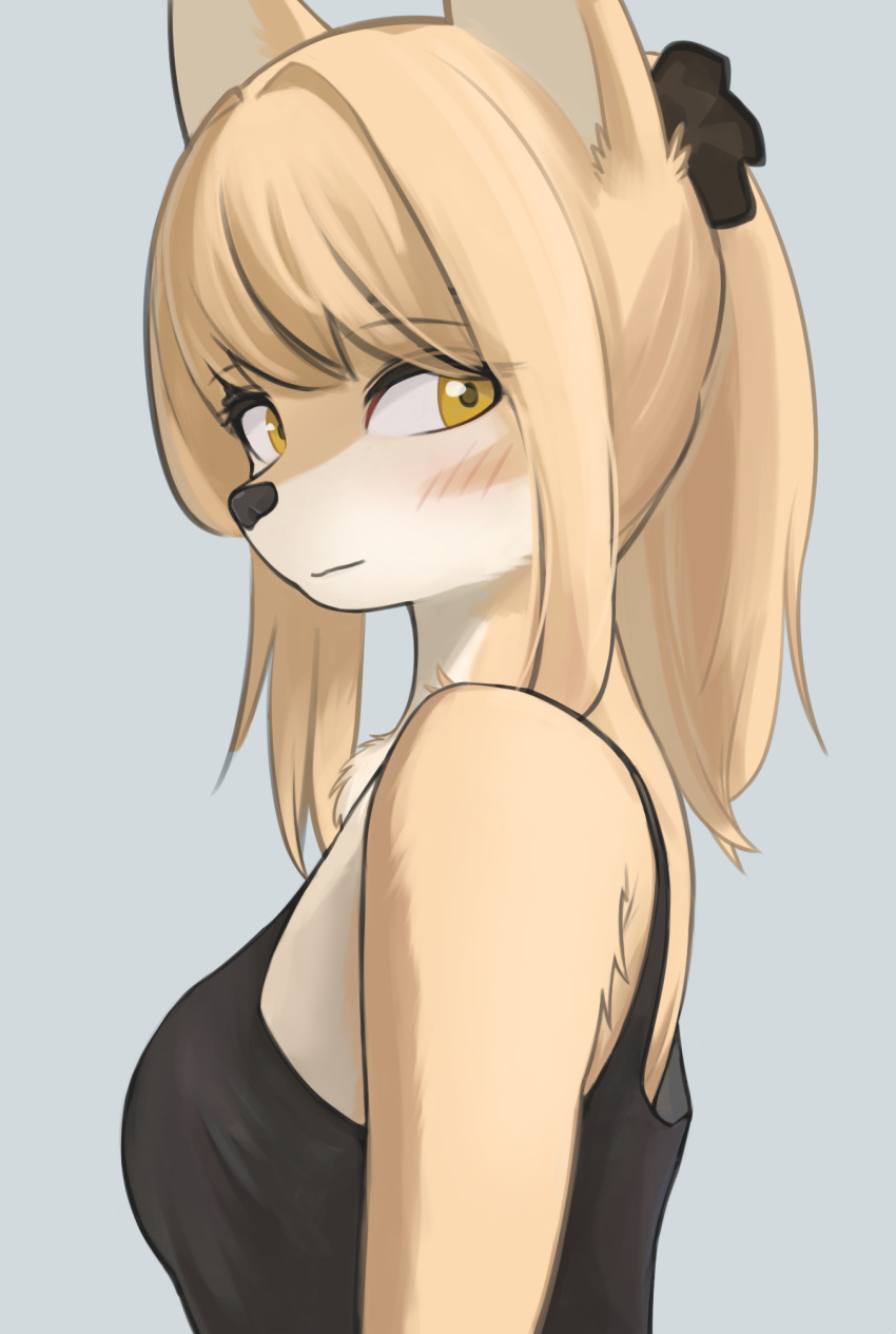 2022 accessory anthro black_nose blush breasts canid canine clothed clothing female fox fur hair hair_accessory hi_res kemono korfiorano looking_at_viewer mammal multicolored_body multicolored_fur ponytail scrunchie shirt solo tan_body tan_fur tan_hair tank_top topwear two_tone_body two_tone_fur white_body white_fur yellow_eyes