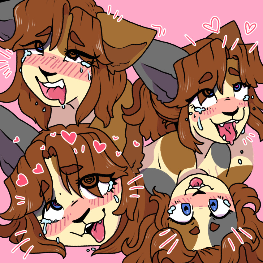 &lt;3 &lt;3_eyes ahegao anthro blush blush_lines blushing_profusely bobtail_cat bodily_fluids bramble_(katlovesshrimp) character_collage crying digital_media_(artwork) domestic_cat felid feline felis female fur hair hi_res katlovesshrimp looking_pleasured mammal open_mouth red_hair saliva simple_background smile solo tears tears_of_joy tears_of_orgasmic_joy tears_of_pleasure tongue tongue_out