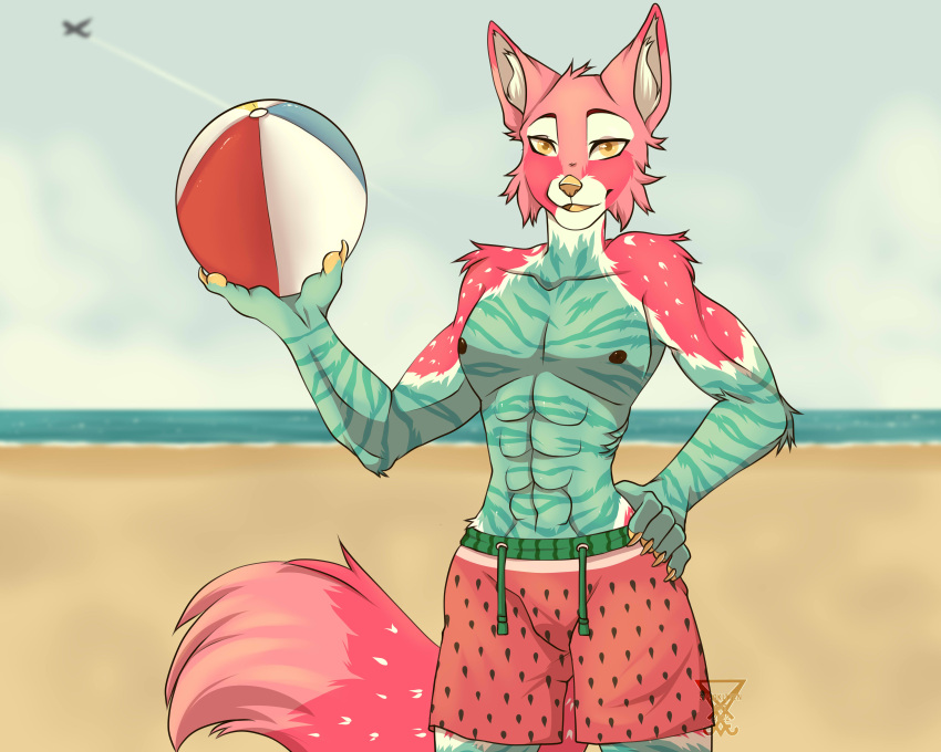 absurd_res aircraft airplane anthro ball beach canid canine clothed clothing food fruit fur hi_res holding_object looking_at_viewer male mammal melon muscular muscular_anthro muscular_male pepene plant public seaside shirtless shirtless_anthro shirtless_male smile smiling_at_viewer solo spookitten swimwear watermelon watermelon_pattern watermelon_print watermelon_seed watermelon_skin