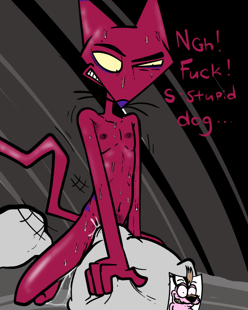 absurd_res anthro big_eyes black_background black_eyebrows black_eyes bodily_fluids brown_ears brown_nose canid canine canis cartoon_network clenched_teeth collar concentrating concentration courage_the_cowardly_dog courage_the_cowardly_dog_(character) cum dialogue domestic_cat domestic_dog english_text exclamation_point eyebrows fantasizing fantasy felid feline felis fur genital_fluids grey_background grin grinding half-closed_eyes hi_res holding_object humping illegaleel katz_(courage_the_cowardly_dog) kneeling looking_down looking_pleasured male male/male mammal markings masturbation narrowed_eyes nipples nude orgasm photo picture_in_picture pillow pillow_humping pink_body pink_fur pupils purple_nose red_body red_fur simple_background small_pupils smile solo spider_web striped_body striped_fur striped_markings stripes sweat sweatdrop sweating_profusely tape teeth text thick_eyebrows thinking thinking_about_another thrusting tsundere whiskers yellow_sclera
