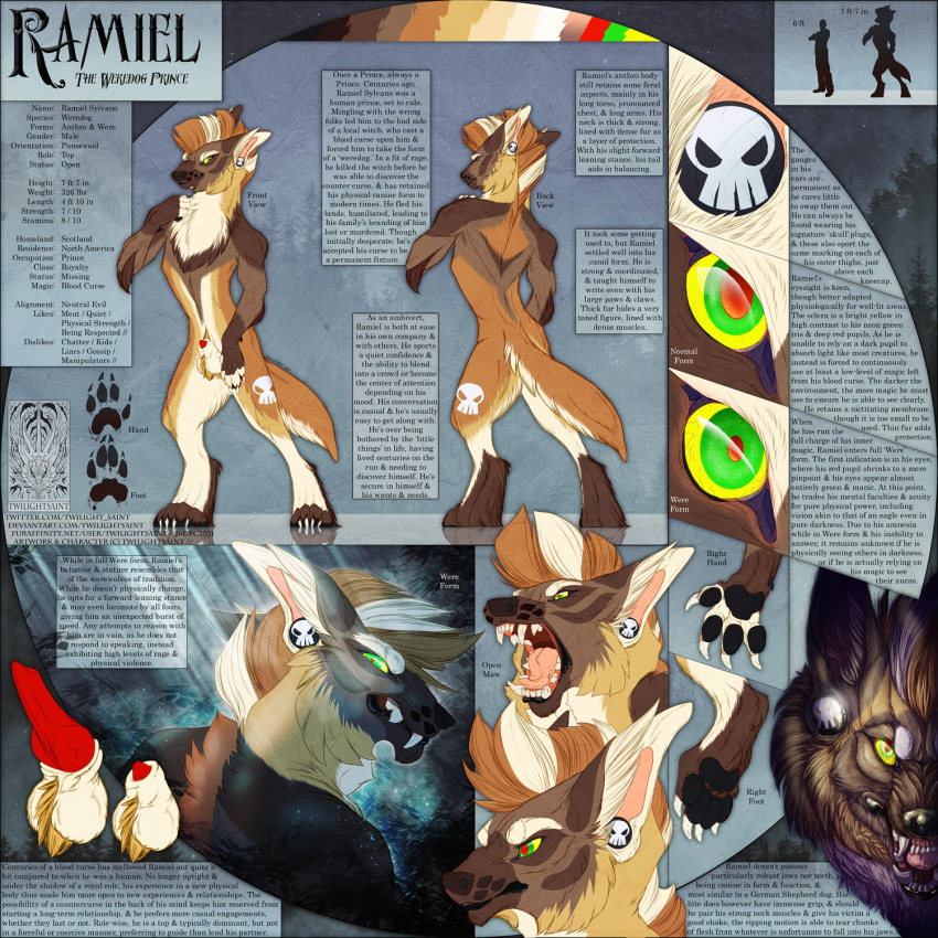 anthro canid canine concept_art design_sheet digital_drawing_(artwork) digital_media_(artwork) hi_res male mammal model_sheet reference_guide reference_image references solo solo_focus twilightsaint were werecanid werecanine weredog werewolf