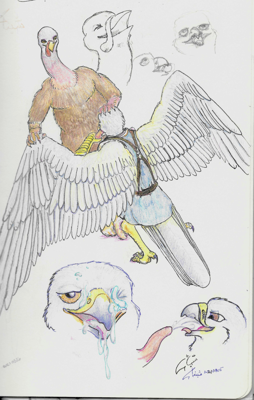 2021 absurd_res ambiguous_gender anthro avian avian_caruncle beak bird bodily_fluids brown_body brown_feathers clothed clothing colored_sketch cum cum_drip cum_in_mouth cum_inside cum_on_beak cum_on_face dominant dominant_male dripping ejaculation falcon falconid feathered_wings feathers fellatio galliform genital_fluids grey_body grey_feathers harness hi_res looking_pleasured male male/male open_mouth oral penile peregrine_falcon phasianid scales sex shabnack shabnack_(artist) signature simple_background sketch snood_(anatomy) spread_wings submissive submissive_male tail_feathers talons traditional_media_(artwork) tumeruk turkey wings