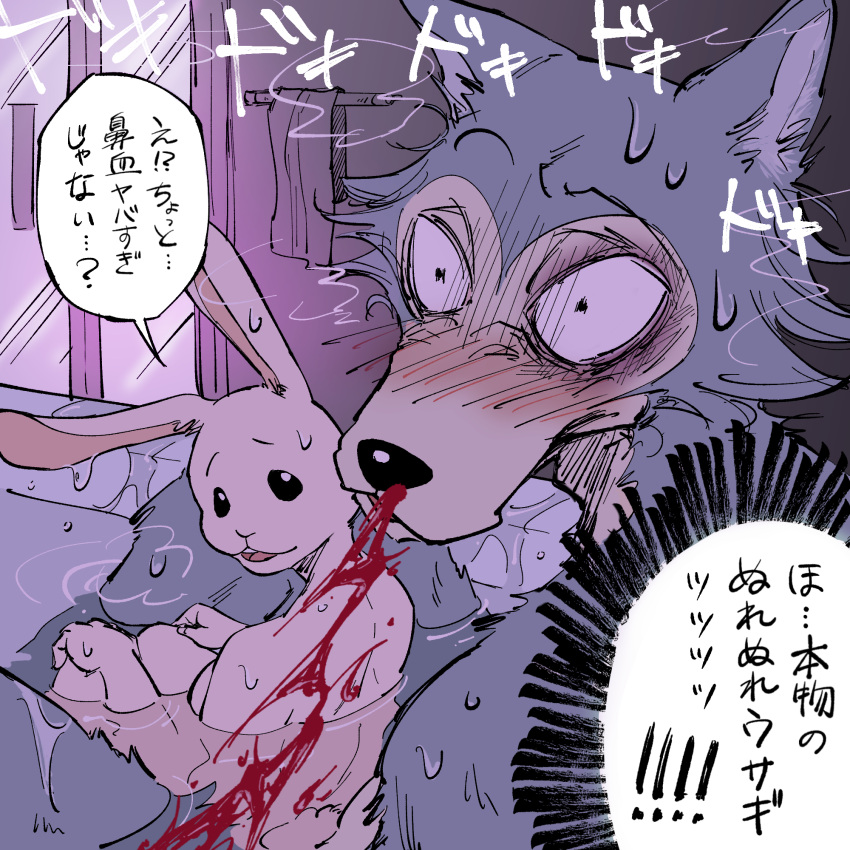 bathtub beastars blood bodily_fluids canid canine canis duo female haru_(beastars) hi_res lagomorph legoshi_(beastars) leporid male male/female mammal nosebleed nude open_mouth rabbit text translation_request water wolf yuzuki_fang111