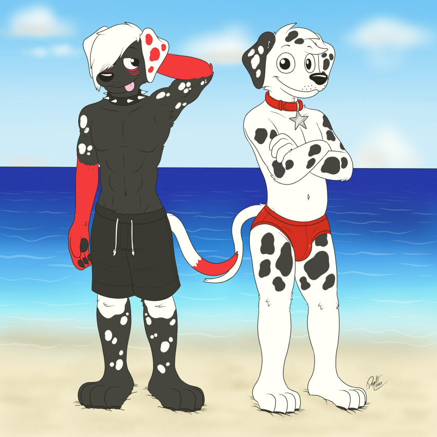 101_dalmatian_street 101_dalmatians beach bulge canid canine canis clothing collar dalmatian disney doggettdouglasmcdog domestic_dog duo dylan_(101_dalmatians) hi_res male male/male mammal pose sand sea seaside speedo spiked_collar spikes star_collar_tag swimming_trunks swimwear tongue tongue_out water