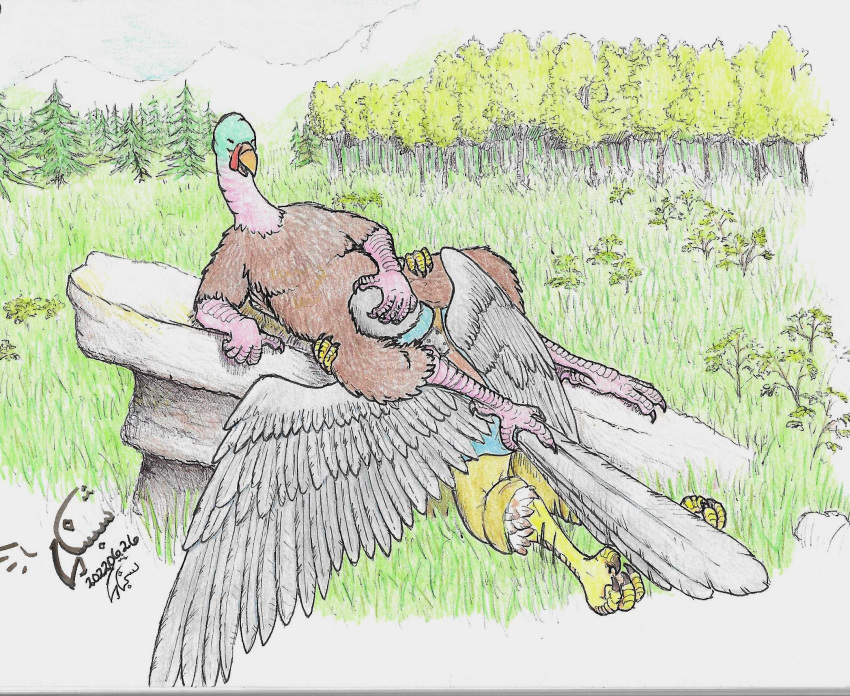 2022 ambiguous_gender anthro avian avian_caruncle beak beak_fetish beak_play beak_sex beakjob bird brown_body brown_feathers clothed clothing detailed_background duo falcon falconid feathered_wings feathers feet fellatio galliform grass grey_body grey_feathers hand_on_head hand_on_leg hi_res male male/male mountain multicolored_body multicolored_skin open_beak open_mouth oral outside outside_sex penile peregrine_falcon phasianid plant reclining rock scaled_arms scaled_legs scales sex shabnack shabnack_(artist) signature snood_(anatomy) spread_wings tail_feathers tail_grab talons toes traditional_media_(artwork) tree tumeruk turkey wings yellow_body yellow_scales