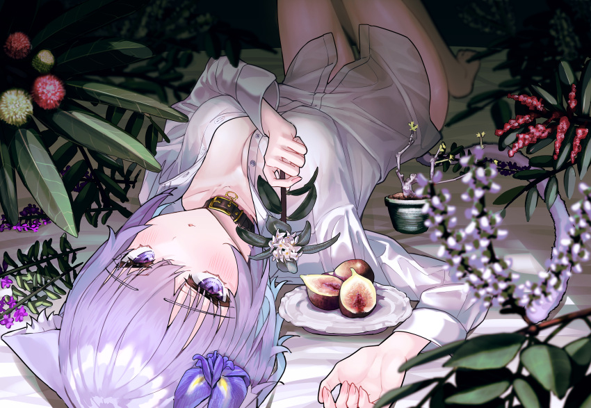 1girl absurdres animal_ear_fluff animal_ears bangs bare_legs black_collar blush breasts cat_ears cleavage collar flower food fruit highres holding holding_flower hololive knees_up long_sleeves looking_at_viewer lying medium_breasts nekomata_okayu on_back parted_lips plant potted_plant purple_eyes purple_flower purple_hair red_flower shirt solo susukawa_(susucawa) virtual_youtuber white_flower white_shirt
