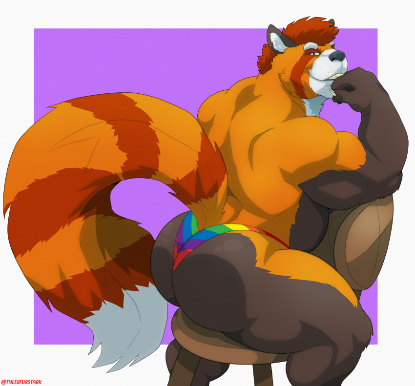 2022 absurd_res ailurid anthro back_muscles barazoku biceps big_butt big_muscles border butt chair claws clothing eyebrows fur furniture hair hi_res huge_butt huge_muscles lgbt_history_month lgbt_pride looking_at_viewer male mammal muscular muscular_anthro muscular_male pride_color_clothing pride_color_underwear pride_colors purple_background rainbow_pride_colors red_panda simple_background sitting smile solo teeth thick_thighs thong tuft tylerstark underwear white_border