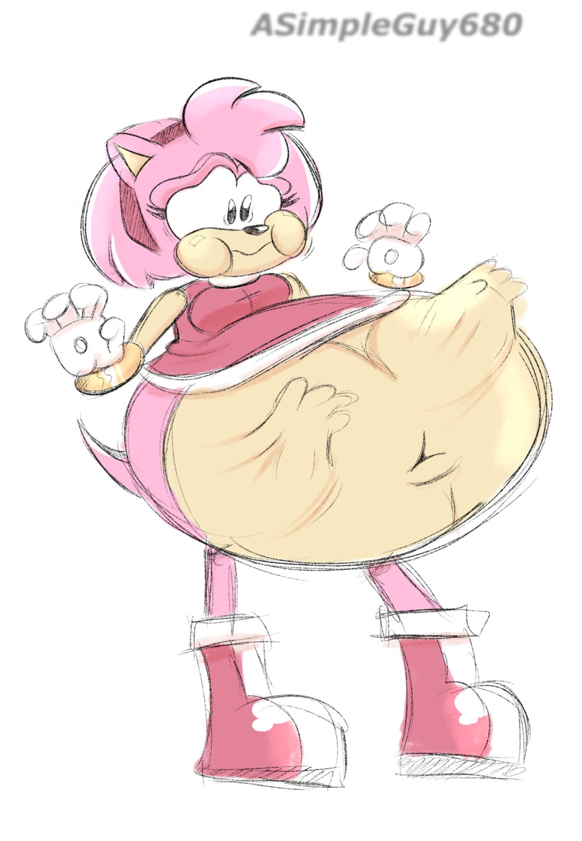 amy_rose asimpleguy680(artist) digestion duo eulipotyphlan female hedgehog hi_res mammal pouting sega sonic_the_hedgehog_(series) vore