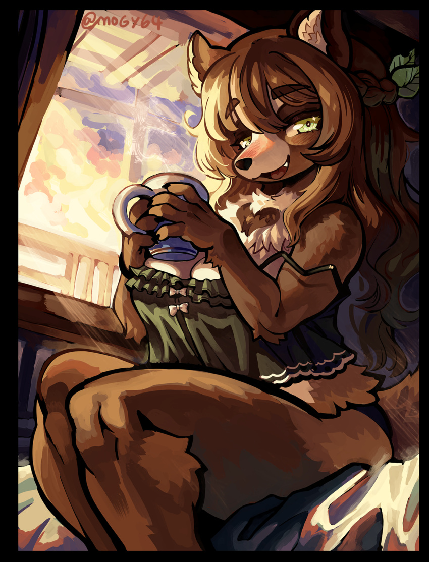 2022 5_fingers anthro big_breasts breasts brown_body brown_fur brown_hair canid canine claws cleavage clothed clothing container cup cute_fangs female finger_claws fingers fluffy fur green_eyes hair hi_res holding_object kemono looking_at_viewer mammal mogy64 raccoon_dog sitting solo tanuki white_body white_fur