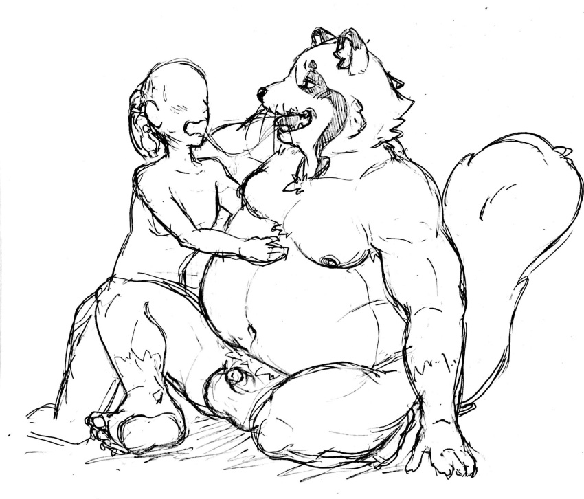 2022 anthro balls belly big_belly blush canid canine duo genitals hi_res humanoid_hands kemono male mammal moobs navel nipples overweight overweight_male penis raccoon_dog sakusan_kc sketch small_penis tanuki tenugui