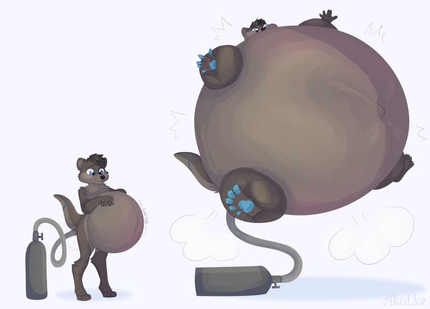 2022 absurd_res air_tank akushark anthro belly belly_expansion belly_inflation big_belly biped black_nose blue_eyes blue_pawpads blush brown_body brown_fur cooper_(doctorotterface) digital_media_(artwork) expansion fur hair hi_res hose hose_inflation hyper hyper_belly inflation lutrine male mammal mustelid navel nude onomatopoeia pawpads puffed_cheeks river_otter simple_background solo sound_effects text white_background