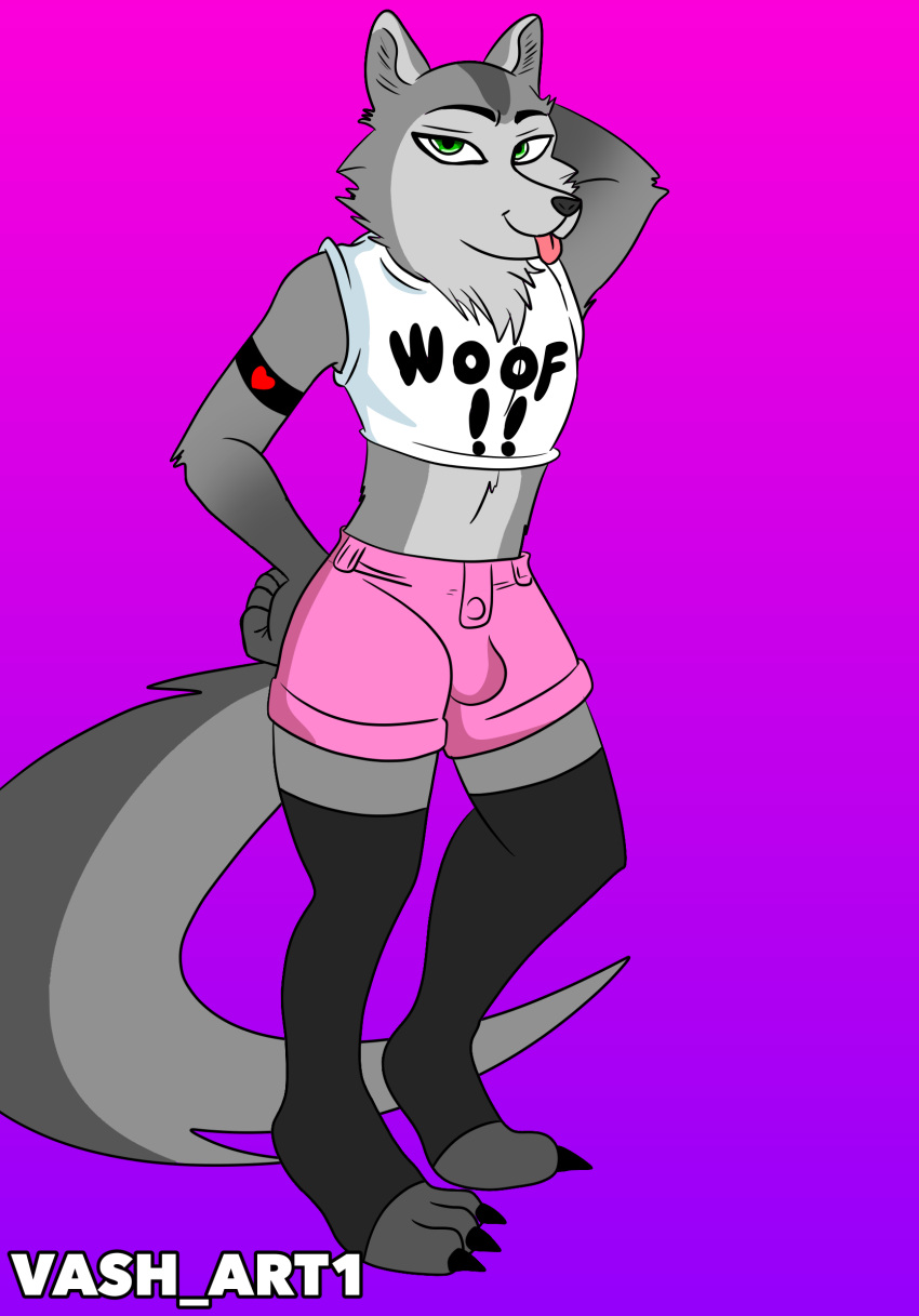 anthro armband biped blep bottomwear bulge canid canine canis clothed clothing countershading crop_top digital_media_(artwork) fluffy fluffy_tail fox fur girly green_eyes grey_body grey_fur hi_res hotpants legwear looking_at_viewer male mammal midriff multicolored_body multicolored_fur navel neck_tuft pose shirt shorts simple_background smile solo standing stockings taylor_(cooltexan57) thick_thighs thigh_highs toeless_legwear tongue tongue_out topwear tuft vash_art