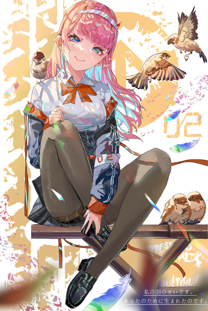 1girl 2849250545qq absurdres animal bangs bird black_footwear black_jacket black_shorts blue_eyes blurry bow bowtie brown_legwear c: closed_mouth collared_shirt colored_inner_hair commentary darling_in_the_franxx eyebrows_behind_hair feathers full_body hairband hand_on_own_knee head_tilt highres horns jacket knees_up legs legwear_under_shorts lens_flare light_blue_hair loafers long_hair long_sleeves looking_at_viewer multicolored_hair off_shoulder pantyhose pink_hair red_bow red_bowtie shiny_footwear shirt shoes short_shorts shorts sitting smile solo translation_request white_hairband white_shirt zero_two_(darling_in_the_franxx) zipper