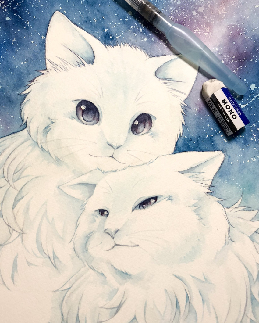 :3 animal animal_focus black_eyes blue_background blue_sky cat closed_mouth commentary_request continuo0226 eraser fluffy half-closed_eyes highres no_humans original photo_(medium) ragdoll sky star_(sky) starry_sky traditional_media white_cat