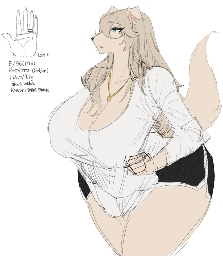 anthro big_breasts bird_dog breasts canid canine canis carsen collar domestic_dog female fluffy fluffy_tail fur green_eyes hair hi_res hunting_dog korean_text mammal mature_female retriever simple_background solo text thick_thighs wide_hips yellow_body yellow_fur