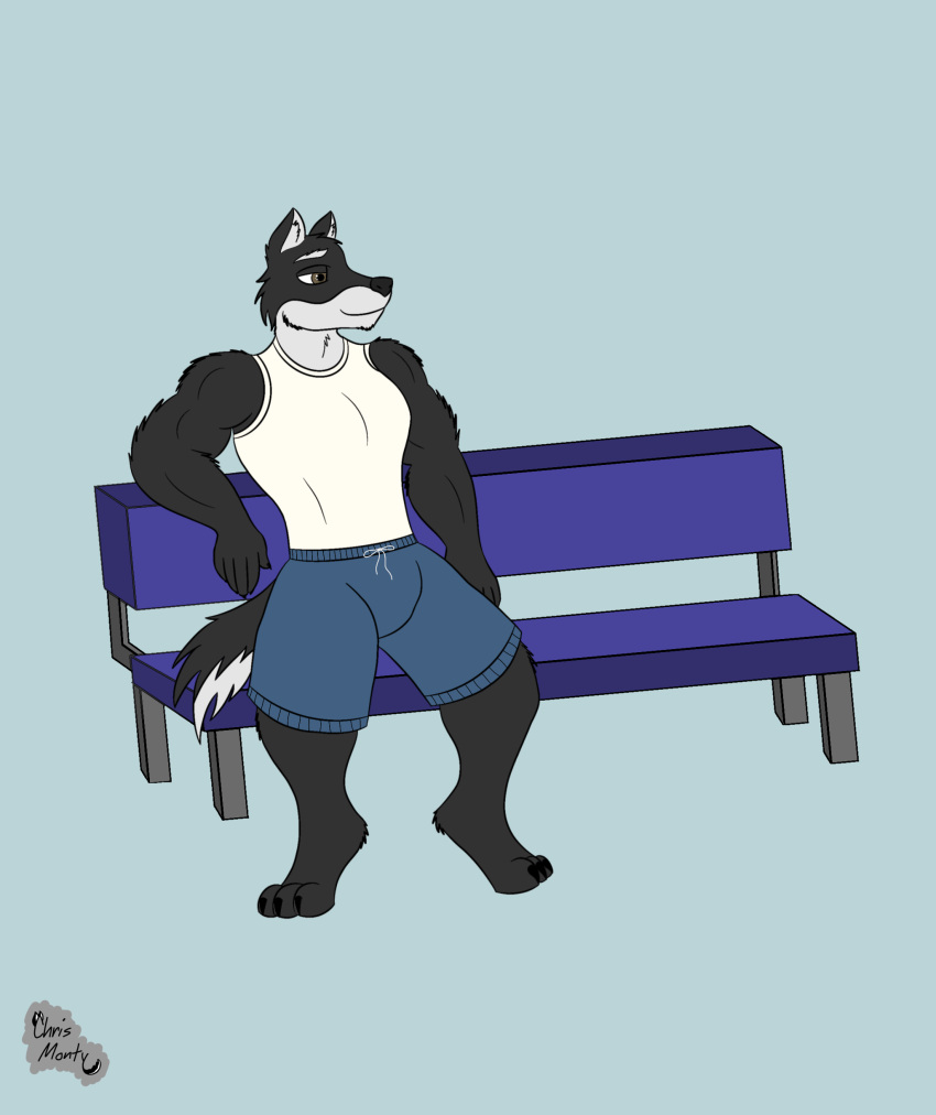 5_fingers absurd_res anthro bench black_body black_claws black_fur black_nose bottomwear brown_eyes bulge canid canine canis chris_monty christopher_montgomery claws clothing domestic_dog eyebrows fingers fluffy fluffy_tail fur hi_res husky looking_away male mammal muscular nordic_sled_dog paws shirt shorts signature simple_background simple_coloring sitting smile solo spitz tank_top topwear white_body white_fur