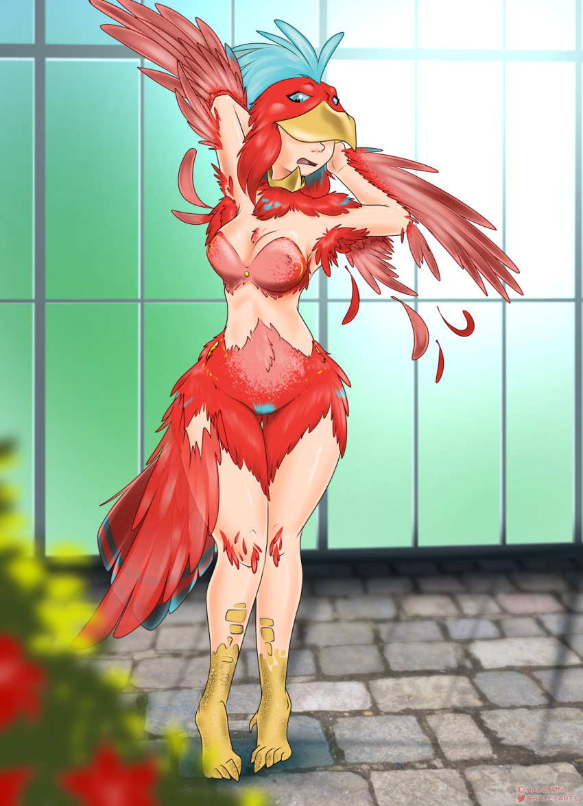 2022 avian bird breasts digital_media_(artwork) feather_growth feathers female growth halcy0n hi_res human human_to_anthro mammal naturally_censored open_mouth red_body red_feathers solo species_transformation standing surprise transformation wing_growth wings