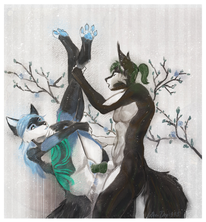 alex-dep-998 anal anthro arctic_fox canid canine cherry_blossom cherry_blossom_tree cherry_tree duo female flower fox fruit_tree genitals grabbing_legs hi_res highlights_(coloring) in_heat knot leg_grab male male/female mammal muscular paws plant pussy tattoo tree