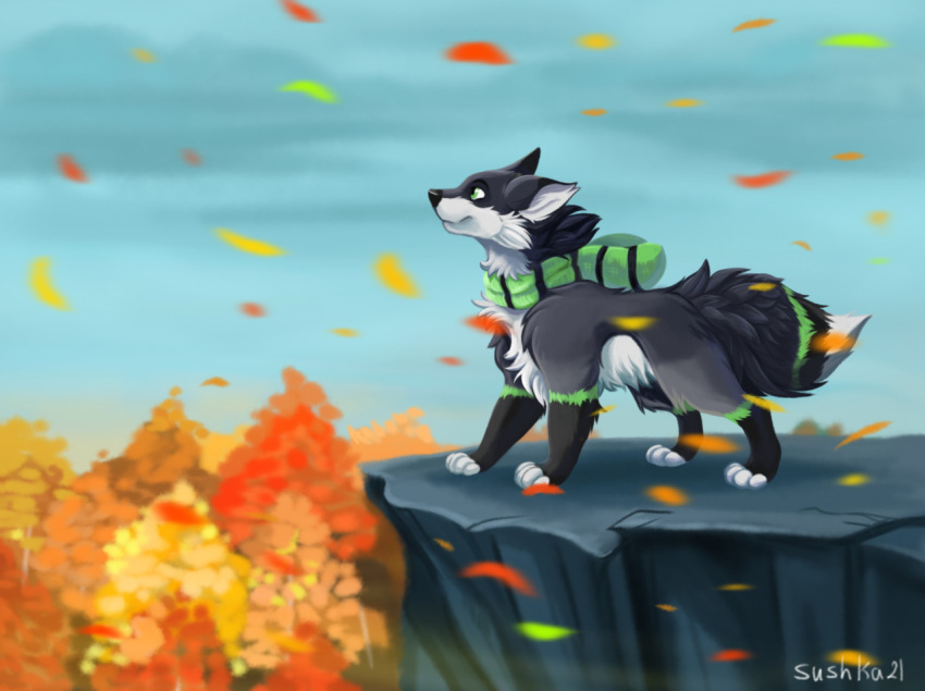 autumn canid canine cliff feral fox helio_(character) leaf male mammal scarf solo sushi-s wind