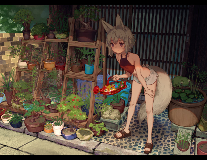 1girl animal_ears bangs bare_shoulders bent_over closed_mouth collarbone crop_top day full_body grey_hair hair_between_eyes hand_on_own_thigh holding medium_hair miniskirt original outdoors plant red_eyes red_shirt sandals scenery shirt skirt solo standing tail thighs toes watering watering_can white_skirt yutsumoe