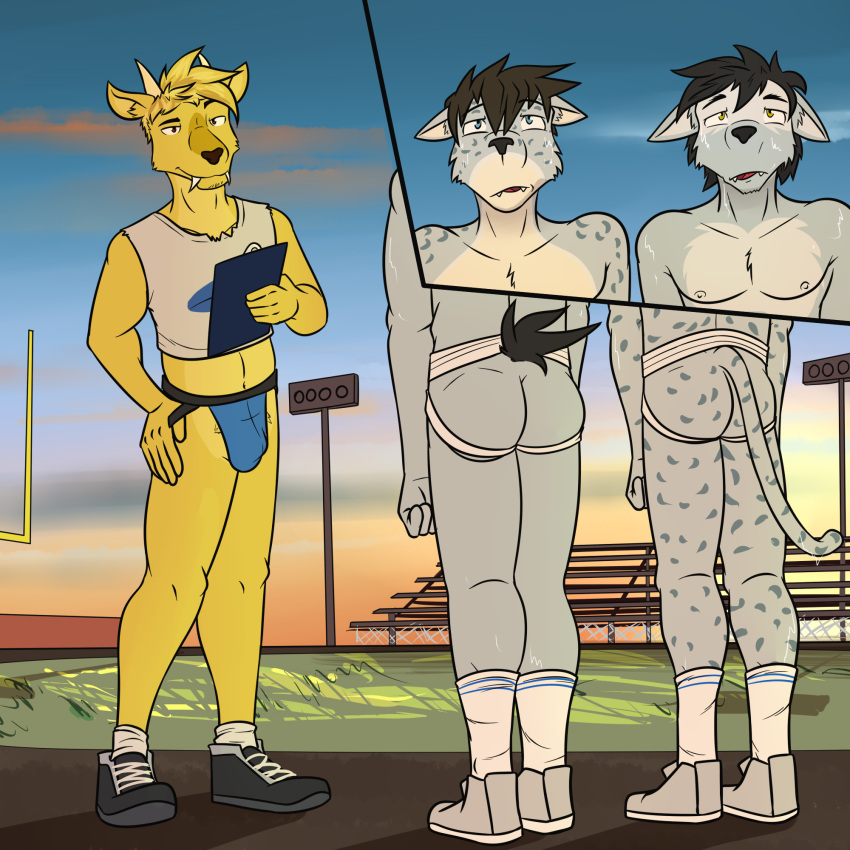 anthro athlete bleachers bodily_fluids canid canine canis cervid cervine clipboard clothing coach coywolf crop_top dj_strap duke_(fuze) fangs felid football_field footwear fur fuze goalpost grey_body grey_fur group hi_res horn hybrid jockstrap male male/male mammal midriff muntjac outside pantherine shirt shoes snow_leopard socks sweat topwear trio underwear viktor_(fuze) yellow_body yellow_fur