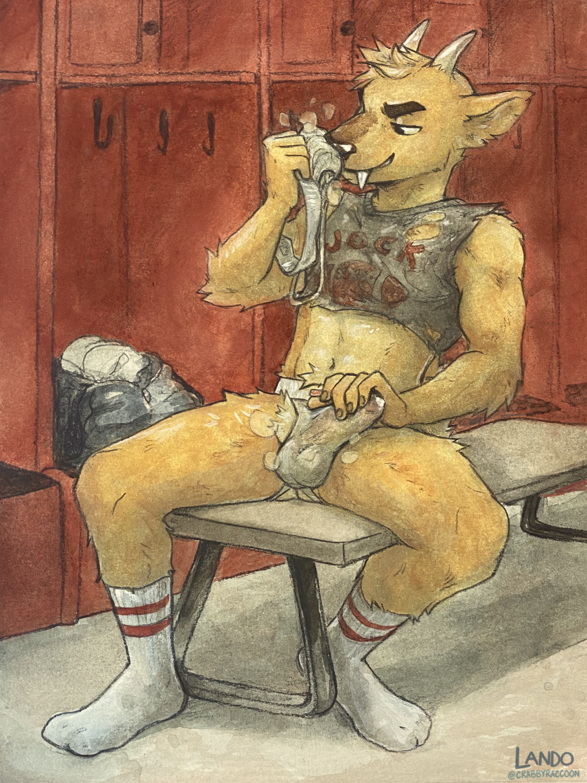 absurd_res american_football anthro bench bodily_fluids bulge bulge_fondling cervid cervine clothing crop_top dj_strap fangs footwear fur genital_fluids hi_res horn inside jockstrap locker_room male mammal midriff muntjac precum precum_through_jockstrap shirt sicklyhypnos sitting sniffing socks solo sport sweat text text_on_clothing text_on_topwear topwear underwear underwear_sniffing yellow_body yellow_fur