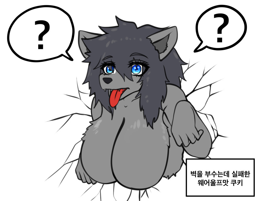 absurd_res anthro big_breasts black_hair blue_eyes breasts canid canine canis cookie_run female feral grey_body grey_hands grey_skin hair hi_res korean_text long_hair mammal megi open_mouth solo text tongue tongue_out translated werewolf_cookie wolf
