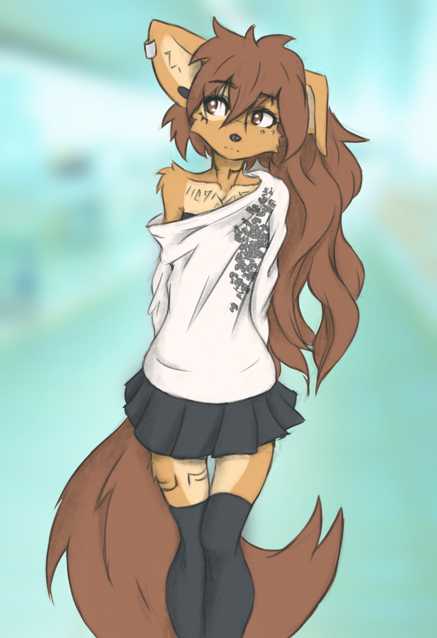 anthro apogee_(tinygaypirate) arm_tuft black_nose bottomwear breasts brown_body brown_eyes brown_fur brown_hair canid canine canis cheek_tuft clothed clothing cowlick domestic_dog ear_piercing eyebrow_through_hair eyebrows facial_markings facial_piercing facial_tuft female floppy_ears fur furgonomics furry-specific_piercing gauged_ear green_background hair hands_behind_back head_markings head_tilt hi_res inner_ear_fluff leg_tuft legwear long_hair looking_aside mammal markings messy_hair mottled mottled_nose muzzle_piercing nose_piercing off_shoulder piercing pink_nose shirt simple_background skirt slim small_breasts solo spitz standing thigh_gap thigh_highs tinygaypirate topwear translucent translucent_hair tuft