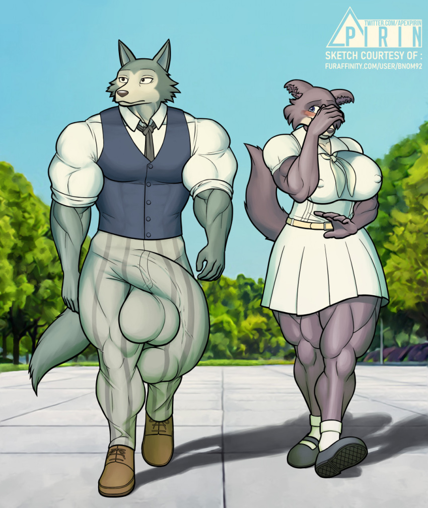 anthro balls balls_outline beastars big_breasts big_penis blush bottomwear breasts bulge canid canine canis clothed clothing covering covering_face detailed_bulge duo female flaccid footwear fur genital_outline genitals hi_res huge_penis humanoid_genitalia humanoid_penis hyper hyper_genitalia hyper_penis juno_(beastars) legoshi_(beastars) looking_at_another looking_away male male/female mammal muscular muscular_anthro muscular_female necktie nipple_outline nipples penis penis_outline pirin-apex school_uniform shy skirt smile topwear uniform vest wolf