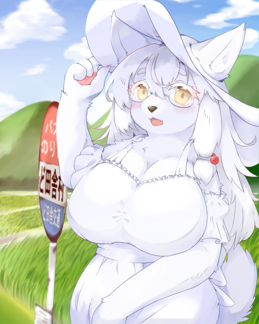 2022 4:5 anthro big_breasts black_nose blush breasts canid clothing cloud cute_fangs day dress female fingerpads fur grass hi_res looking_at_viewer mammal open_mouth outside pawpads plant shitsu_kushi-mono sign solo white_body white_clothing white_dress white_fur yellow_eyes