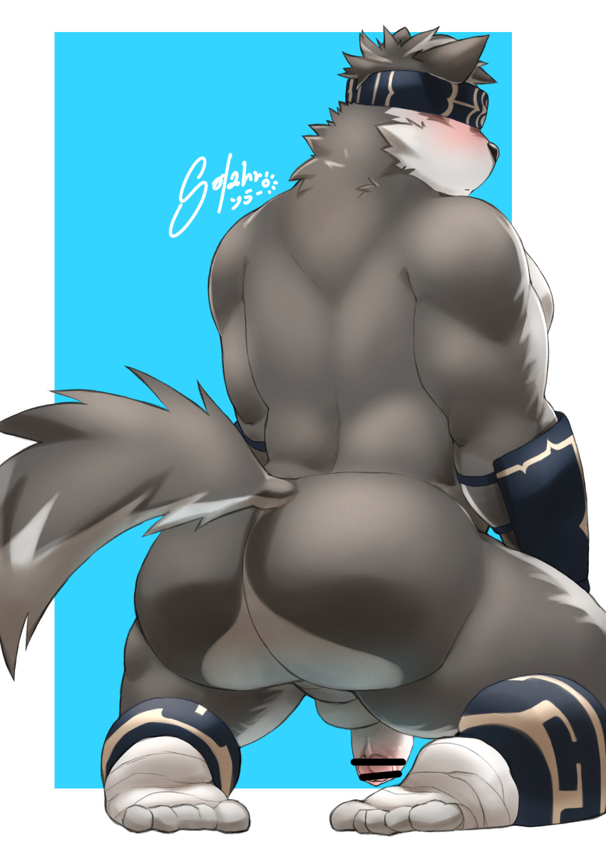 absurd_res anthro back_muscles balls blindfold blush butt canid canine canis countershading fur genitals grey_body grey_fur hi_res horkeu_kamui_(tas) kayashima_soru kneeling lifewonders male mammal muscular muscular_anthro muscular_male nude penis solo tokyo_afterschool_summoners video_games wolf