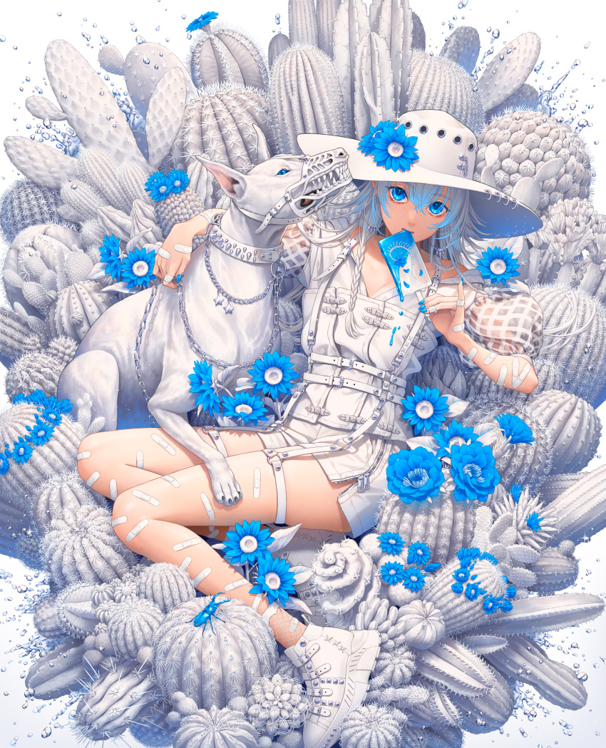 1girl absurdres bandaid bandaid_on_arm bandaid_on_hand bandaid_on_leg biting blue_eyes blue_flower blue_hair blue_nails braid cactus chain chain_leash chained dog dress eating flower food full_body harness hat hat_flower highres holding holding_food holding_leash ice_cream leash minami_(minami373916) multicolored_hair muzzle nail_polish original pinky_out popsicle shoes single_braid smile solo sun_hat two-tone_hair white_dog white_dress white_footwear white_hair