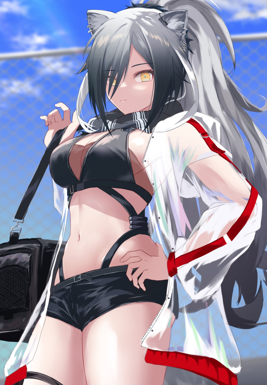 1girl absurdres animal_ears arknights bangs black_scarf black_shorts blue_sky breasts cat_ears chain-link_fence cleavage cloud commentary cowboy_shot crop_top day fence grey_hair hand_on_hip hand_up highres jacket large_breasts long_hair long_sleeves looking_at_viewer midriff navel nekomatamago open_clothes open_jacket ponytail scarf schwarz_(arknights) short_shorts shorts sky solo standing stomach thigh_strap thighs very_long_hair white_jacket yellow_eyes