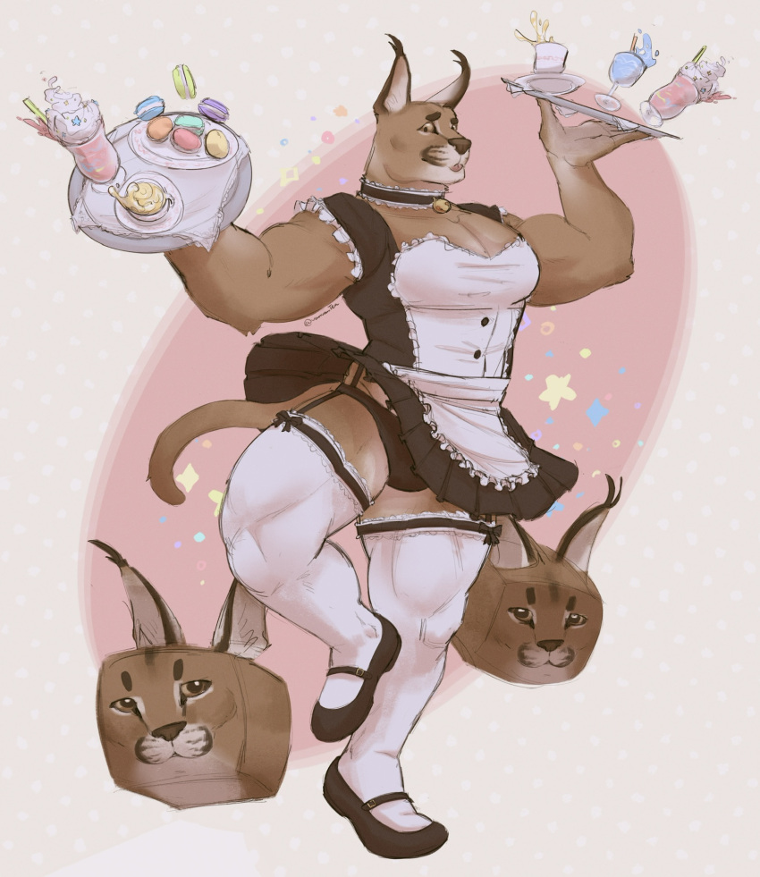 2022 anthro apron beverage biceps big_floppa big_muscles blep border caracal caracal_(genus) clothed clothing coffee collar container cookie crossdressing cube cup dress eyebrows felid feline food footwear frilly frilly_clothing fur garter_belt garter_straps girly glass glass_container glass_cup grey_border hi_res lace legwear maid_uniform male mammal meme milkshake muscular muscular_anthro muscular_male on_one_leg panties pecs pink_background plate quads saucer shoes simple_background smile socks solo standing straw text thigh_highs thigh_socks tongue tongue_out tuft underwear uniform upskirt url vanvantea