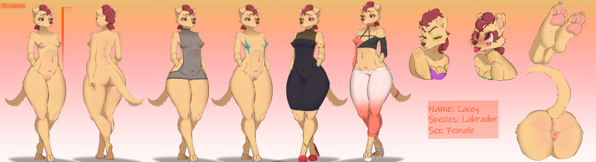absurd_res anthro bird_dog bisamon butt canid canine canis domestic_dog feet female genitals hi_res hunting_dog labrador lacey mammal nipples pussy retriever solo