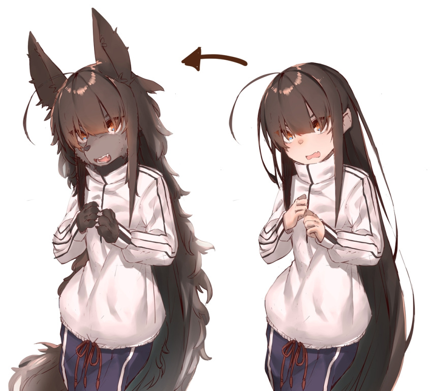 ahoge arrow before_and_after black_body black_fur black_hair brown_eyes canid canine claws digital_media_(artwork) female fur hair hands_together human human_to_anthro long_hair mammal open_mouth shy simple_background species_transformation transformation tukimitake were werecanid werecanine werewolf white_background young