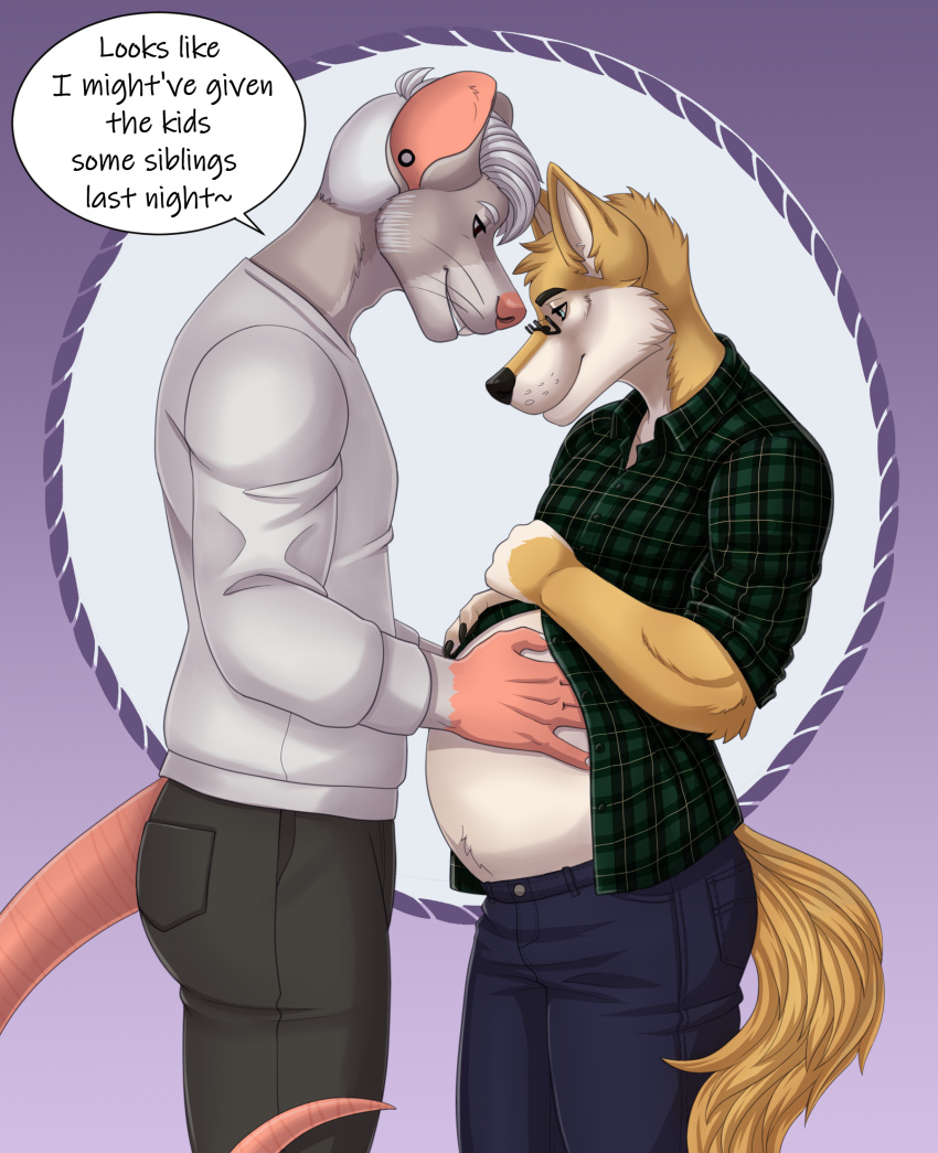 anthro belly big_belly canid canine canis clothing dialogue dingo duo ear_piercing eyewear fur glasses grey_body grey_fur hi_res hyper hyper_pregnancy interspecies interspecies_pregnancy looking_down male male/male mammal murid murine pattern_clothing piercing plaid plaid_clothing pregnant pregnant_male rat rodent sajophoe server_dingo tan_body tan_fur