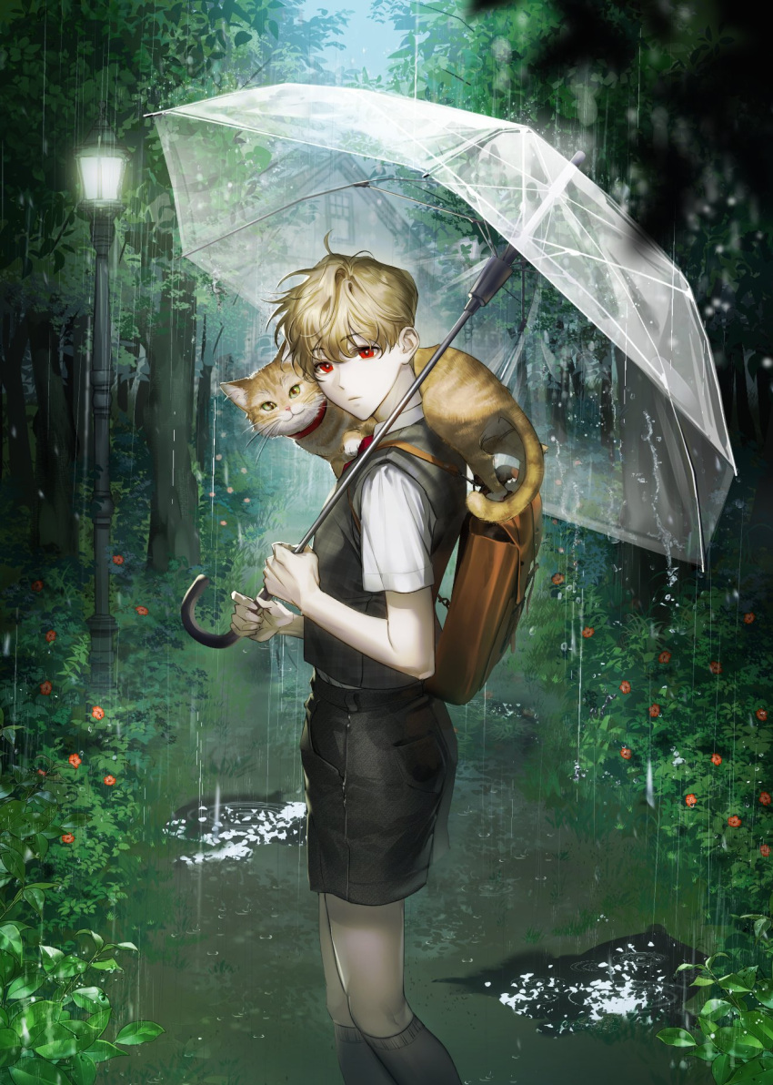 1boy ajrtkf44 animal animal_on_shoulder backpack bag bangs bare_arms black_shorts black_vest blonde_hair bush cat cat_on_shoulder collared_shirt feet_out_of_frame flower from_side grey_legwear highres holding holding_umbrella house kneehighs lamppost looking_at_viewer looking_to_the_side male_focus nature necktie orange_flower original outdoors puddle rain red_eyes red_necktie road shirt short_hair short_sleeves shorts standing transparent transparent_umbrella tree umbrella vest