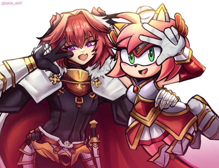 amy_rose anthro armor cape clothed clothing duo eulipotyphlan fate_(series) fur gloves green_eyes hair handwear hedgehog hi_res human mammal pink_body pink_fur pink_hair purple_eyes rider_of_black sega simple_background skai_art sonic_the_hedgehog_(series)