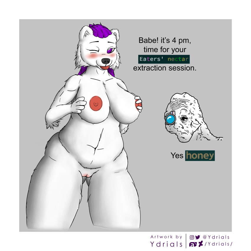 1:1 absurd_res anthro belly big_breasts blush breast_grab breasts caves_of_qud chubby_anthro chubby_female digital_media_(artwork) duo english_text exposed_breasts female fur genitals hair hand_on_breast hi_res human male mammal meme nipples nude one_eye_closed open_mouth paws pink_nipples purple_eyes purple_hair pussy q_girl_(caves_of_qud) shaded shitpost simple_background slightly_chubby solo solo_focus text thick_thighs tongue tongue_out ursid ursine_ears video_games white_body white_fur wide_hips wojak ydrials