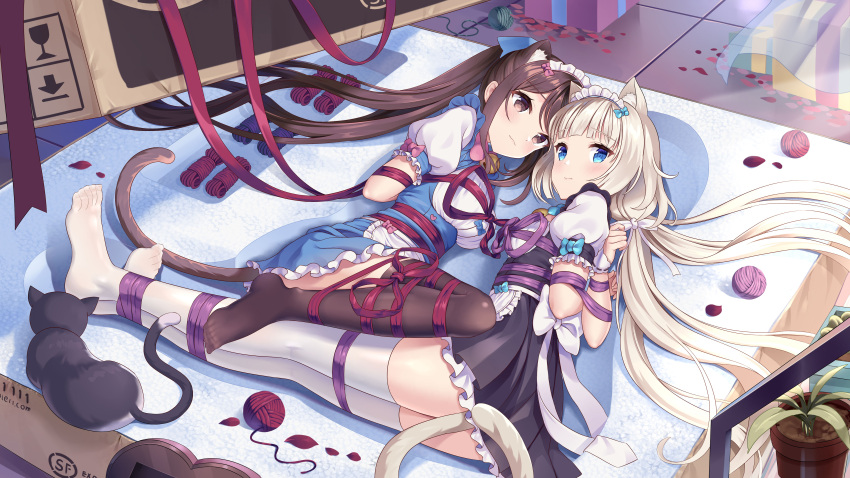 2girls :3 absurdres animal_ear_fluff animal_ears apron arms_behind_back bdsm bell black_cat black_dress black_thighhighs blue_bow blue_dress blue_eyes blunt_bangs blush bondage bound bound_together bow box brown_eyes brown_hair cardboard_box cat cat_ears cat_girl cat_tail chocola_(nekopara) closed_mouth commentary_request crossed_arms dress dutch_angle eyelashes feet freshylulu_m frilled_apron frilled_dress frills full_body hair_bow hair_spread_out highres in_box in_container indoors jingle_bell legs_together long_hair looking_at_viewer low_twintails lying medium_hair multiple_girls neck_bell nekopara no_shoes on_side parted_bangs pink_bow puffy_short_sleeves puffy_sleeves purple_ribbon red_ribbon ribbon shibari shibari_over_clothes shirt short_dress short_sleeves shy smile tail tail_censor thighhighs twintails vanilla_(nekopara) very_long_hair waist_apron waitress white_apron white_bow white_hair white_shirt white_thighhighs zettai_ryouiki