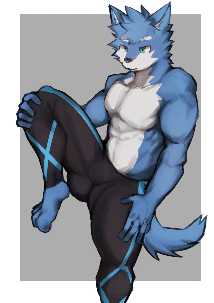 abs absurd_res anthro asleepchef biceps blue_body blue_eyes blue_fur bottomwear bulge canid canine canis clothing domestic_dog fur hair hi_res hybrid male mammal multicolored_body multicolored_fur muscular muscular_anthro muscular_male pants pecs shirtless_male simple_background solo spandex spandex_clothing tail tight_clothing two_tone_body two_tone_fur wolf yakumo_(asleepchef)