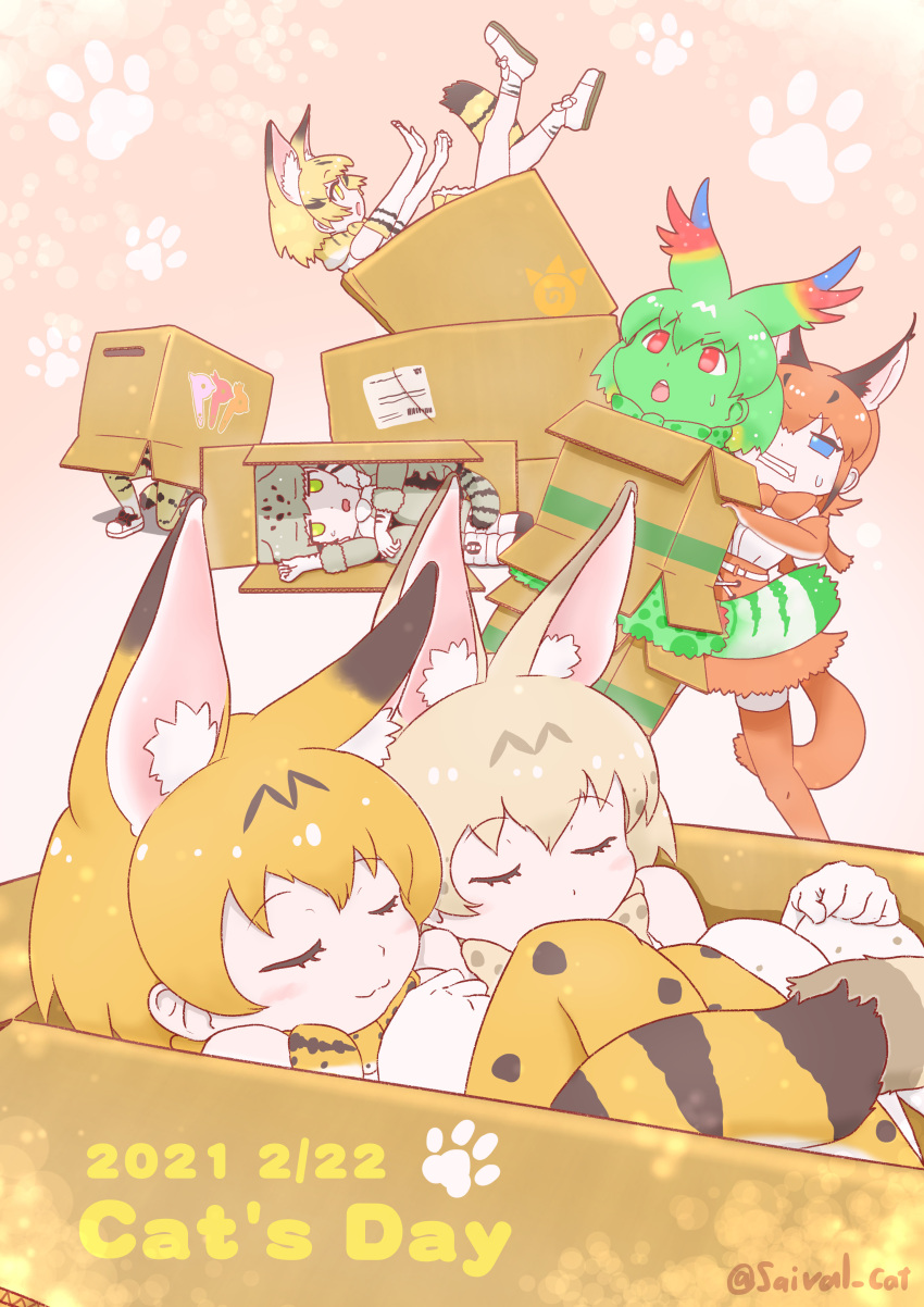 6+girls :3 absurdres animal_ears animal_print bare_shoulders blonde_hair blue_eyes blush boots bow bowtie box caracal_(kemono_friends) caracal_ears cardboard_box cat_day cat_ears cat_girl cat_print cat_tail cellval closed_eyes colored_skin elbow_gloves extra_ears gloves green_hair green_skin green_skirt grey_hair grey_pantyhose hair_between_eyes highres in_box in_container kemono_friends kemono_friends_3 margay_(kemono_friends) margay_print multiple_girls orange_bow orange_bowtie orange_gloves orange_hair pantyhose print_bow print_bowtie print_gloves print_socks print_thighhighs red_eyes saival_cat sand_cat_print serval_(kemono_friends) serval_print shirt short_hair sidelocks skirt sleeping socks sweatdrop tail thighhighs white_bow white_bowtie white_footwear white_hair white_serval_(kemono_friends) white_shirt yellow_eyes