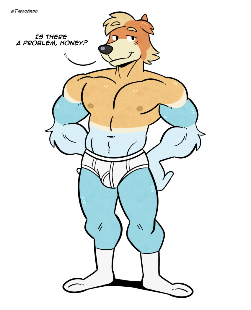 absurd_res anthro barefoot black_nose blue_body blue_fur bluey_(series) briefs bulge clothed clothing dialogue english_text feet footwear fur half-closed_eyes hands_on_hips hi_res male muscular muscular_male narrowed_eyes navel nipples orange_body orange_fur radley_heeler shadow smile socks solo tadaoardo tan_body tan_fur text tighty_whities topless underwear white_briefs white_clothing white_footwear white_socks white_underwear