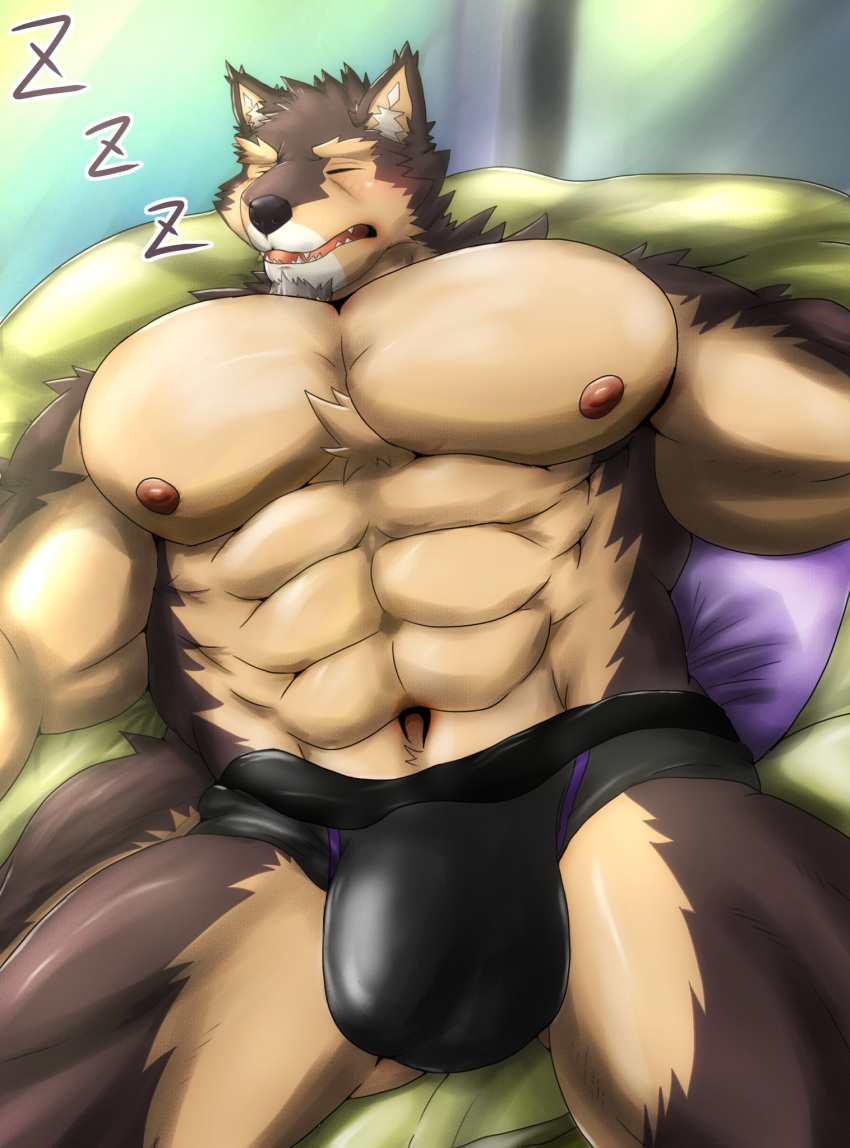 abs anthro brown_body brown_fur bulge canid canine canis clothed clothing domestic_dog eyebrows fur hi_res lifewonders live_a_hero male mammal muscular muscular_anthro muscular_male nipples pecs pubraseer sleeping solo speedo swimwear thick_eyebrows topless yom_mido_plus