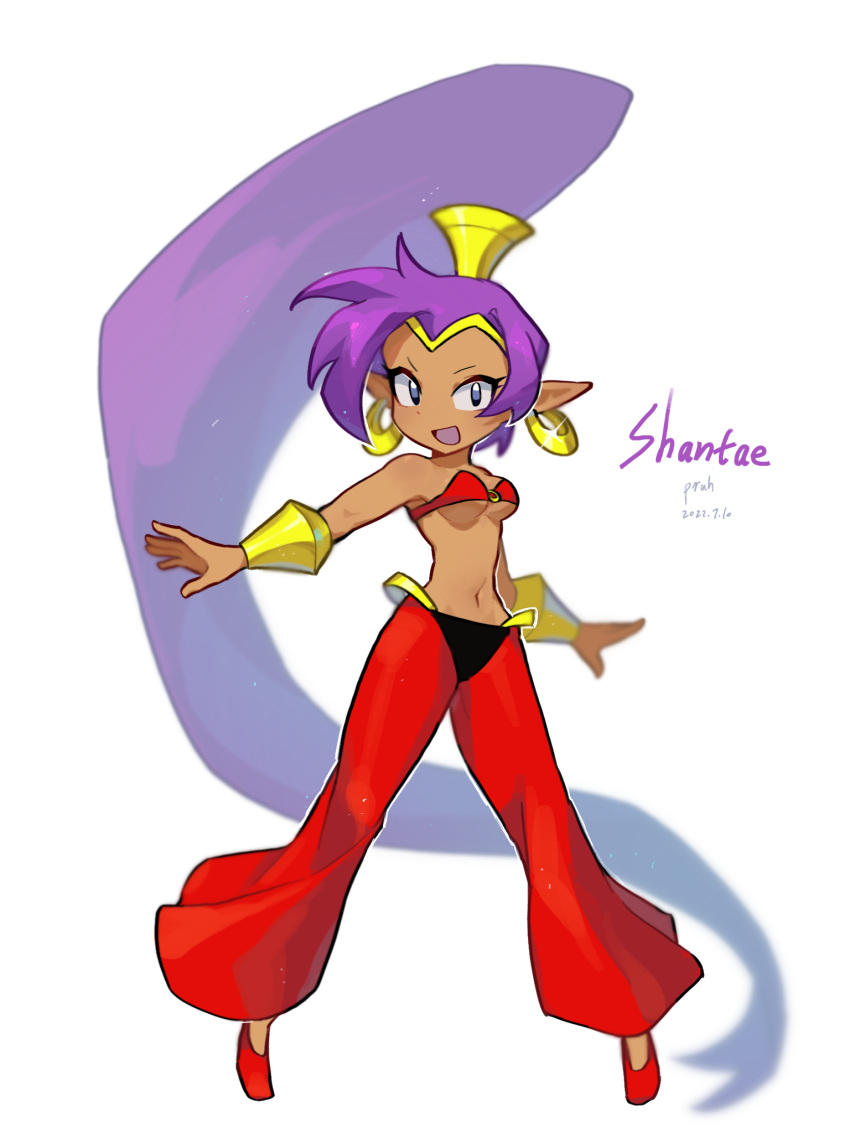 blue_eyes breasts clothed clothing digital_media_(artwork) female hair hi_res human humanoid long_hair looking_at_viewer mammal pruh shantae:_half-genie_hero simple_background solo video_games